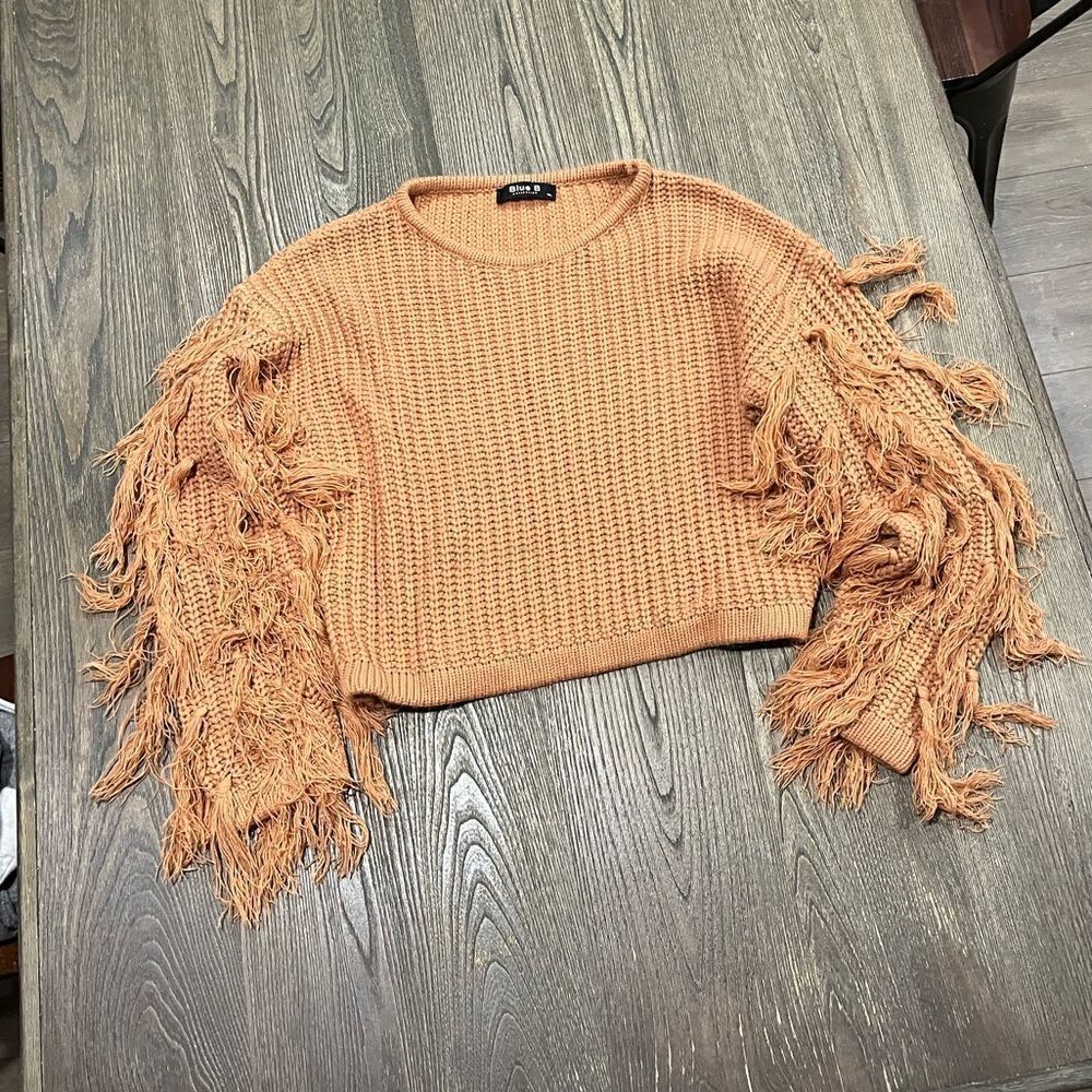 Blue B Collection Fringe Sweater Knit Round Neck Pullover Cropped Brown M/L